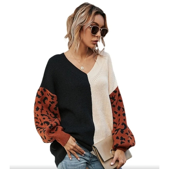 Miracle Colorclock V-neck Sweater with Leopard Sleeves - Picture 1 of 9